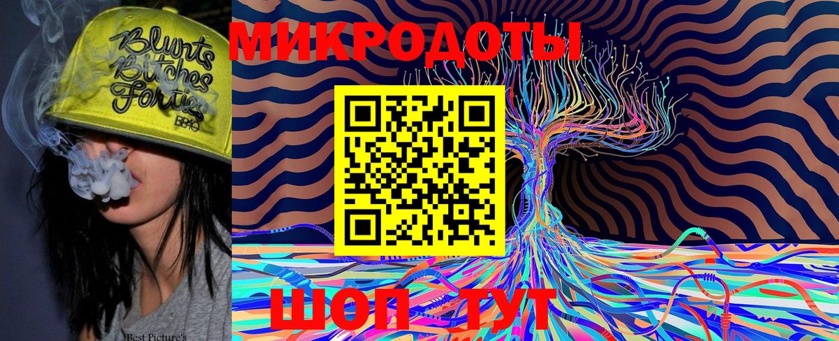 Псилоцибиновые грибы Cubensis Канск