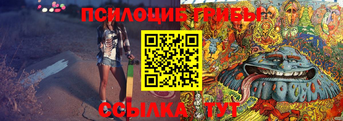 Галлюциногенные грибы мицелий  Вход с VPN  Галлюциногенные грибы мицелий  Канск 