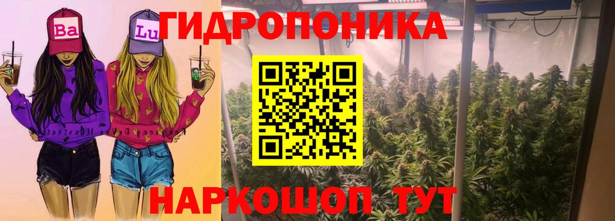 Шишки марихуана Amnesia  Вход с VPN  Марихуана ГИДРОПОН  Канск  Каннабис VHQ  Марихуана Amnesia 